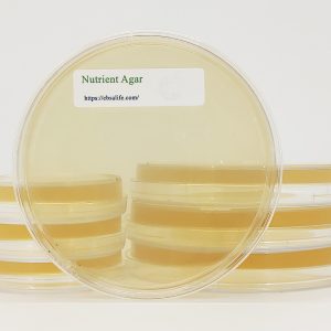 nutrient-agar